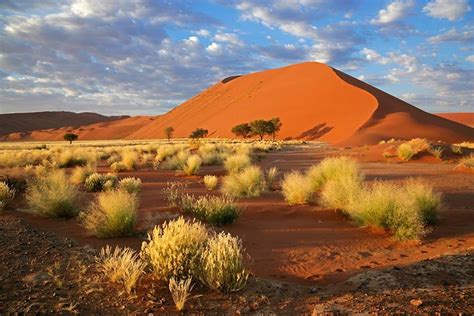 The Namib desert - Namibia