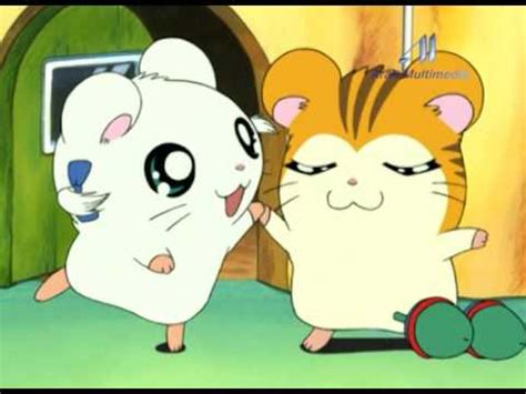 H-A-M-T-A-R-O! (song) | The Hamtaro Wiki | Fandom