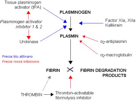 Attivatore Del Plasminogeno Tissutale