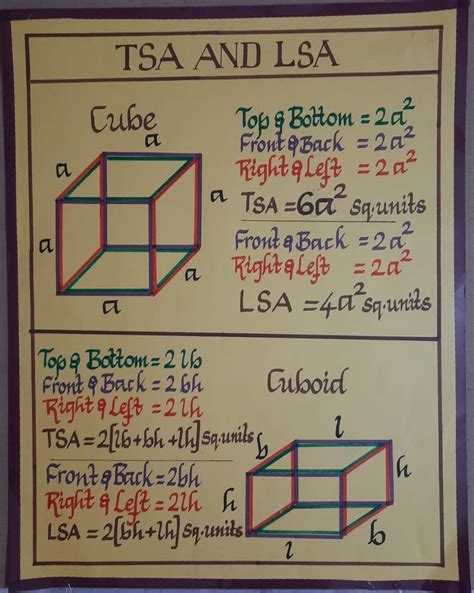 TSA and LSA of cube and cuboid | Kids worksheets preschool, Math projects, Math charts