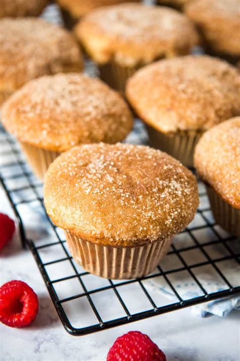 Easy Melt-in-Your-Mouth Bisquick Cinnamon Muffins | Adventures of Mel