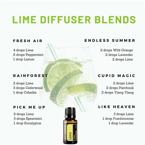 Lime Diffuser Blends (borrowed) | Essential oil diffuser blends recipes ...