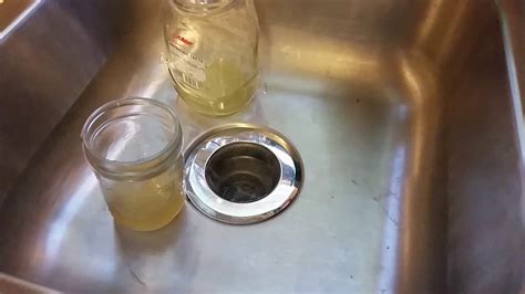 Gnat infestation: Apple Cider Vinegar does NOT work - YouTube