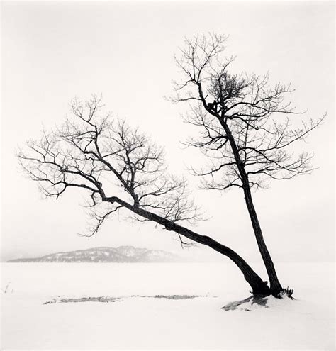 Tree - Michael Kenna Black And White Landscape, Bnw Photography, Landscape Features, Tree ...