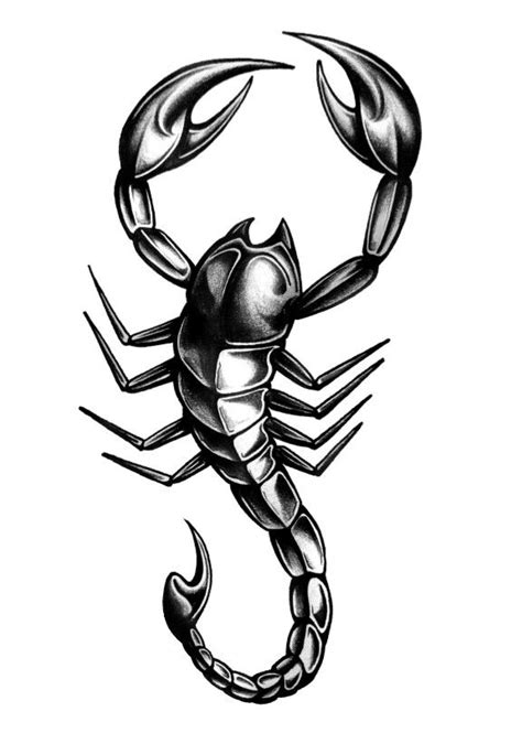 Scorpio | Scorpion tattoo design, Scorpion tattoo, Picture tattoos