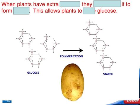 The Chemistry of Carbon - ppt download