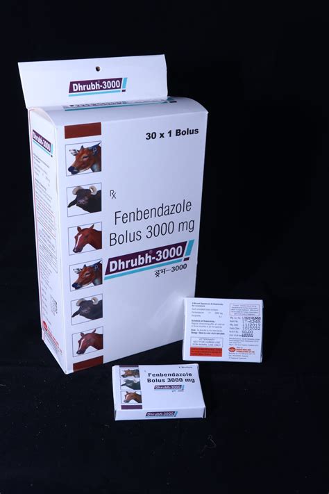 3000 mg Fenbendazole Bolus, Prescription, Go- Ish Remedies Limited | ID: 22931842933