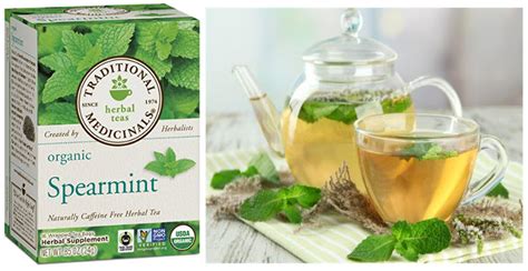 What are the crucial health benefits of Spearmint tea?