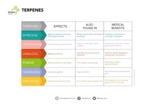 The properties of terpenes in medical cannabis | Kalapa Clinic