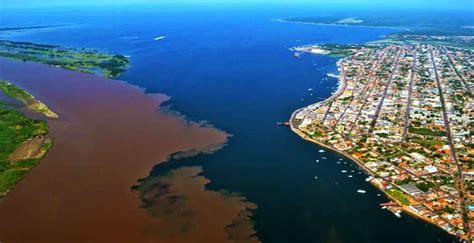 TURISMO MANAUS | Guía Completa 2022 al Corazón del Amazonas