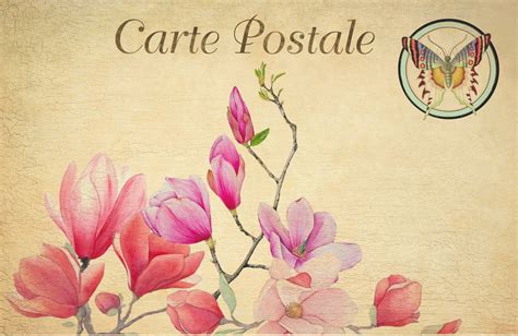 Vintage Floral Postcard Art Free Stock Photo - Public Domain Pictures