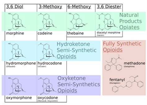 Opioids: Basics - OpenAnesthesia