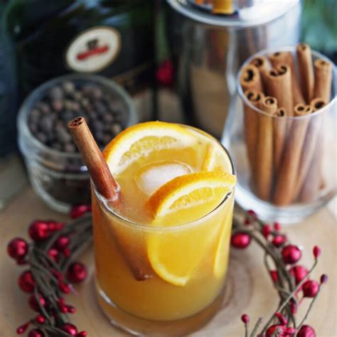 Spiced Orange Brandy Spritzers - Yay! For Food