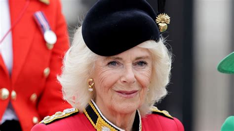 Queen Camilla's silk coat dress at Trooping the Colour has a very special meaning | HELLO!