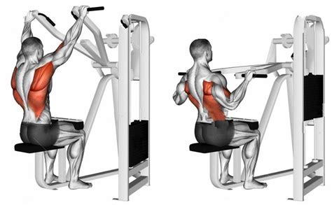 Lat Pulldown Machine Exercise - SCHINEMA