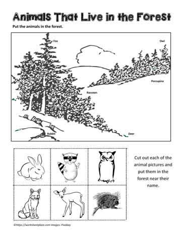 Forest Animals Worksheets