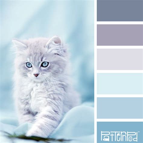 Baby Blue #patternpod #patternpodcolor #color #colorpalettes | Blue colour palette, Color ...