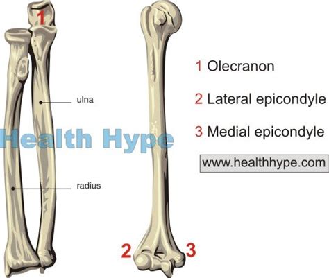 Swollen Elbow – Causes, Symptoms and Treatment of Elbow Swelling | Healthhype.com