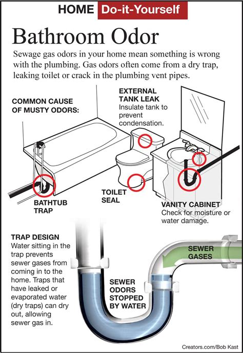 Find a sewer gas odor in a bathroom