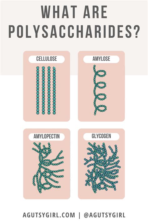 Polysaccharide Glycogen