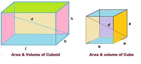 surface-area-volume-cuboid-cube-formulas-examples-allmathtricks - All Math Tricks