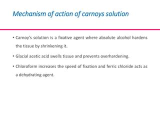 CARNOY’S SOLUTION AS A SURGICAL MEDICAMENT IN THE TREATMENT OF KERATOCYSTIC ODONTOGENIC TUMOUR | PPT