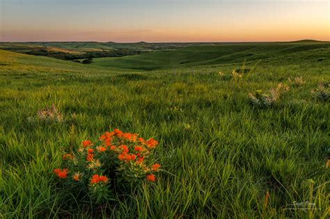 The Flint Hills by Scott Bean - NANPA