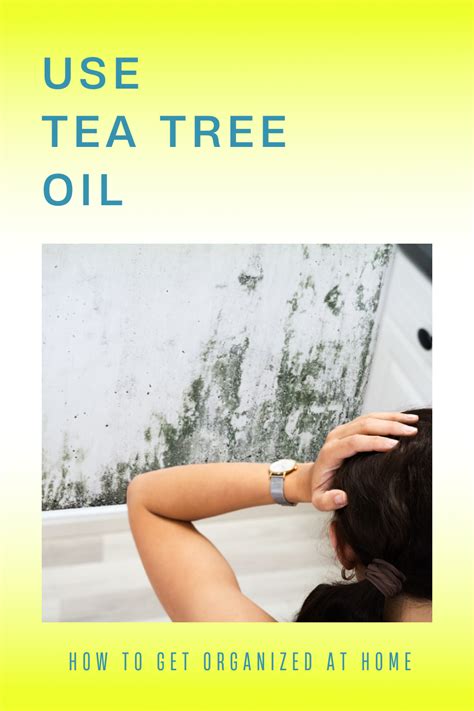 How To Use Tea Tree Oil To Kill Mold