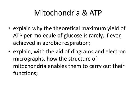 PPT - Mitochondria & ATP PowerPoint Presentation, free download - ID:711816