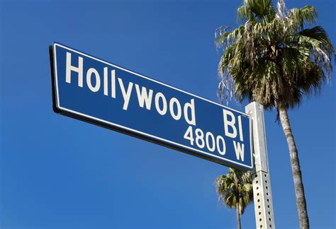 Hollywood Blvd Street Sign W/Palms - Go Junk Free America