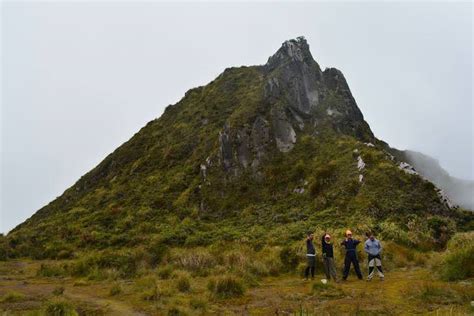 Mt. Apo Hike - Hiking Guide to the Kidapawan Trail