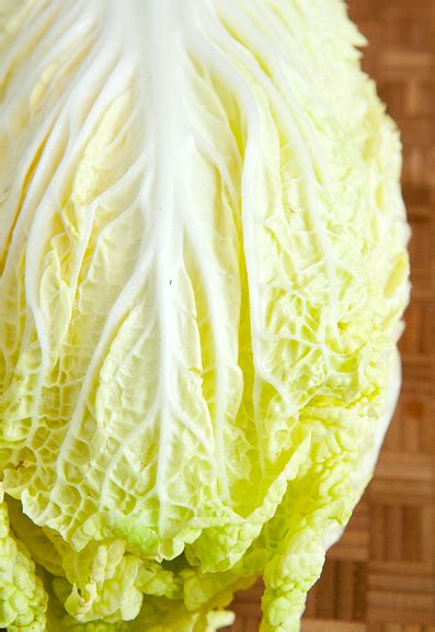 pickled chinese cabbage recipe – use real butter