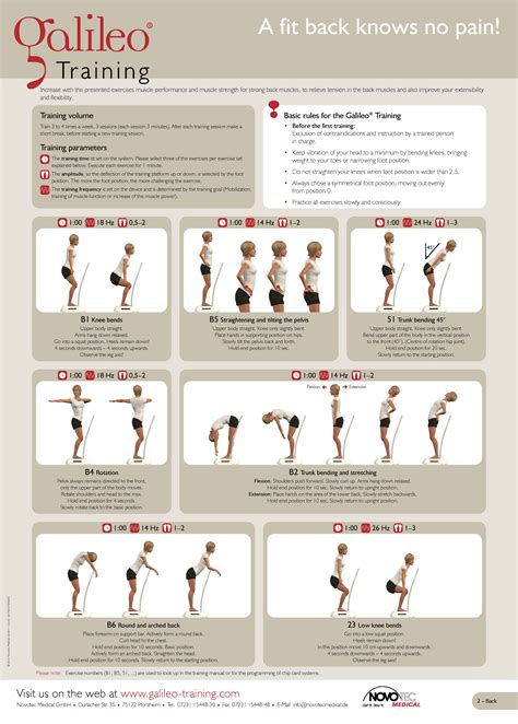 Back Exercises | Galileo