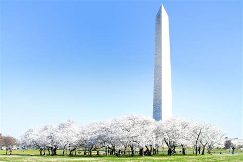 Washington Monument (Tickets, Visiting Tips and More)