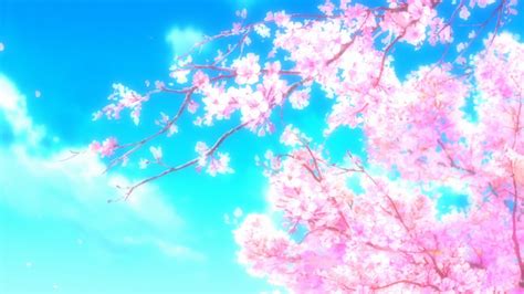 50 Hình nền hoa anh đào đẹp nhất của đất nước Nhật Bản | Anime cherry blossom, Anime scenery ...