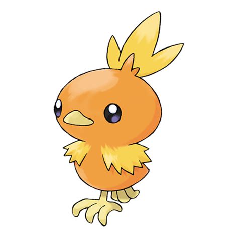 Torchic | Pokédex