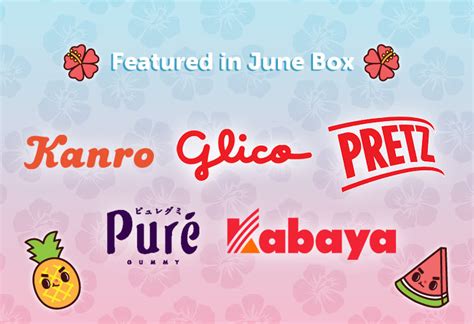 Get a Japanese Subscription Box – Japan Candy Box