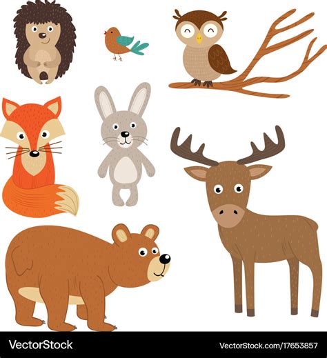 Set isolated forest animals Royalty Free Vector Image