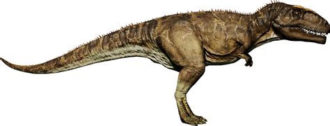 Size comparison: Giganotosaurus vs human