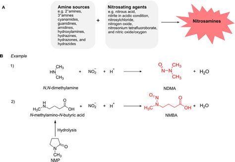 Formation of nitrosamines in pharmaceuticals. Common factors ...