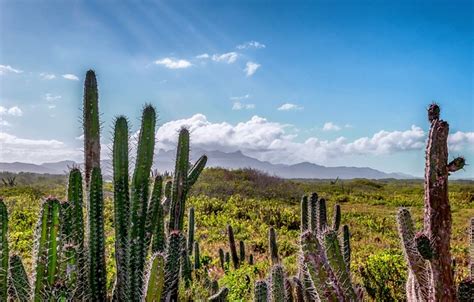 Venezuela Landscape Scenic - Free photo on Pixabay - Pixabay