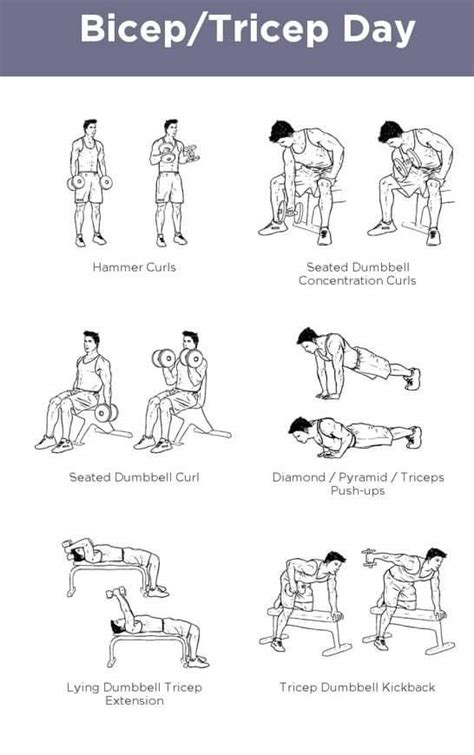 Triceps Workout Chart For Men