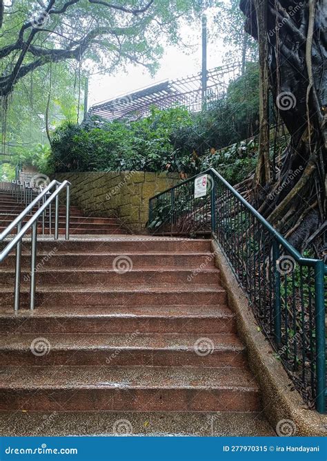 Wet Stairs To Kowloon Park Hong Kong Stock Image - Image of backyard, water: 277970315