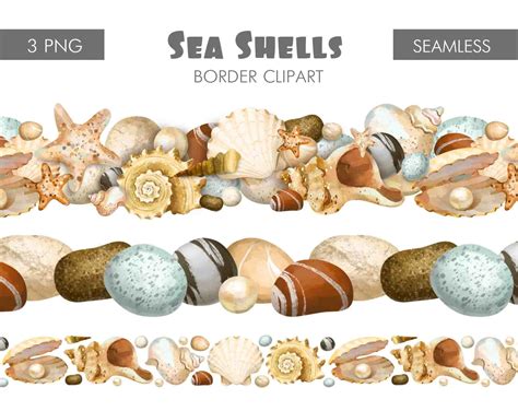 Seashell Border Clipart Png Files Digital Downloadbeach | Etsy UK