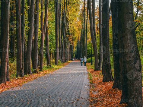 Beautiful autumn park with silhouettes of walking people. 23845179 ...