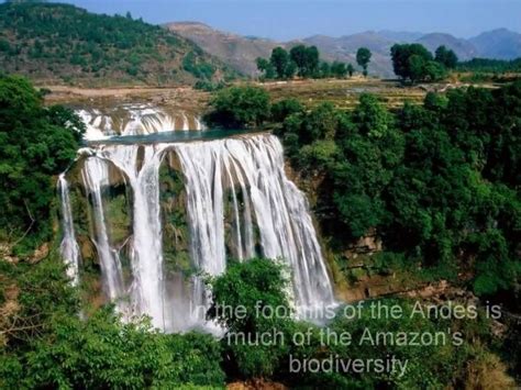 The Great Amazon River! The Largest Waterfall In the World - Pitbull - YouTube