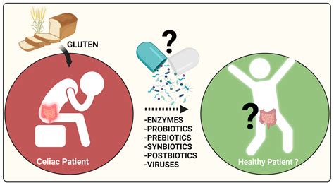 Celiac disease | MohuaMitsuru