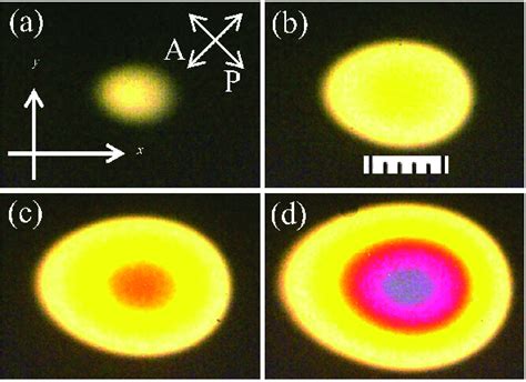 Homogeneous nucleation and growth of the N-phase in the form of an oval... | Download Scientific ...