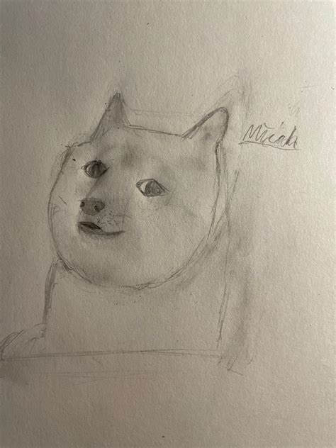 Doge by mzcah on DeviantArt