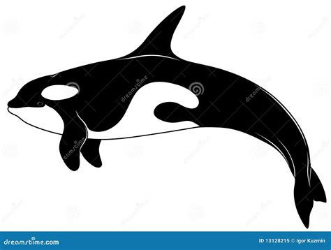 Killer whale, tattoo stock vector. Illustration of marine - 13128215